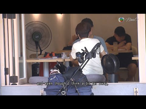 TVB News at 7:30｜8 Jun 2025｜HONG KONG English Latest NEWS