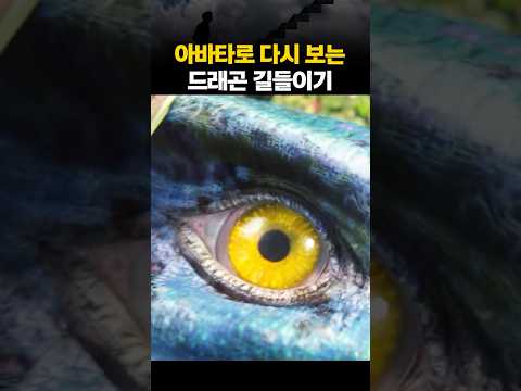 아바타에 나오는 드래곤