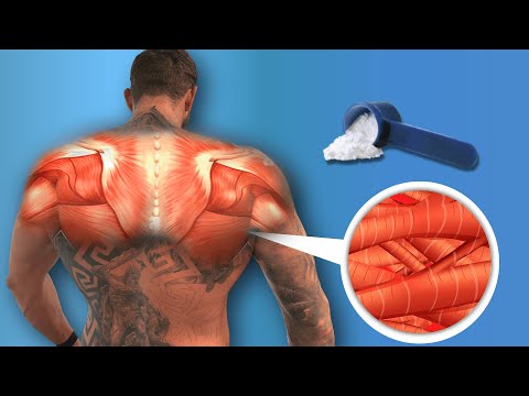 What creatine does to YOUR body after 30 days