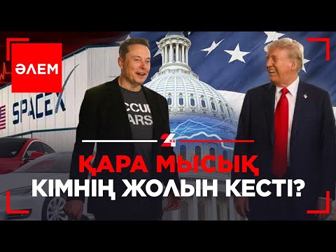Қара мысық кімнің жолын кесті? | Әлем