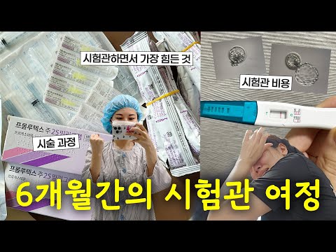 vlog. 6개월간 시험관 n차 기록 그리고 끝내 만난 기적👶🏻｜난자채취부터 이식까지, 모든 시술과정과 비용 총정리