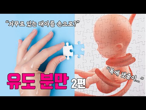 유도분만 그리고 자연분만에 대한 마지막 영상 (둔위회전술) | 여성건강채널_No.1