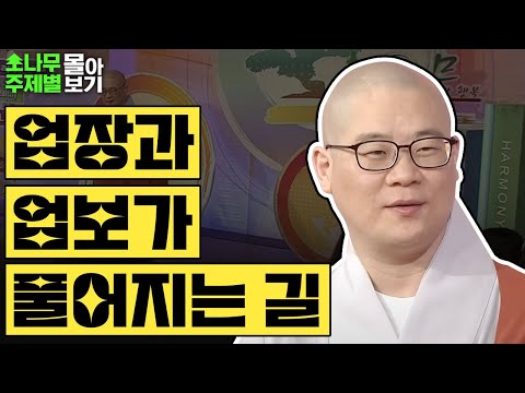 업장과 업보가 풀어지는 길✨  [광우스님 소나무 주제별 몰아보기]