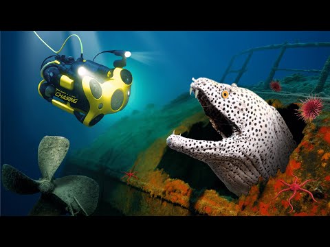 I Dropped a Camera Into a Sunken Ship at the Bottom of the Bali Sea