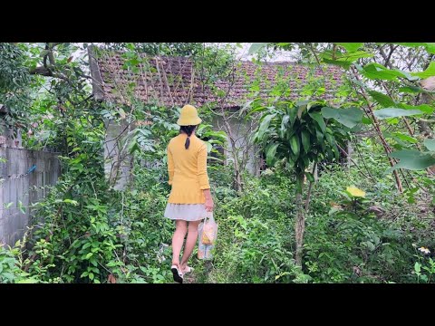 Girl bought an old house for only $1500, but when she finished cleaning it she was surprised