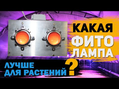 Какие выбрать фитолампы для выращивания в теплице