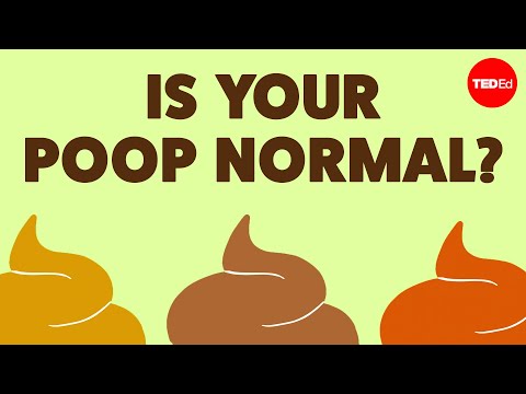 What your poop can tell you about your health - Hannibal Person