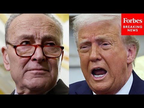 BREAKING: Chuck Schumer Takes Victory Lap After Democrats Win Major Elections In VA, NJ, And NYC