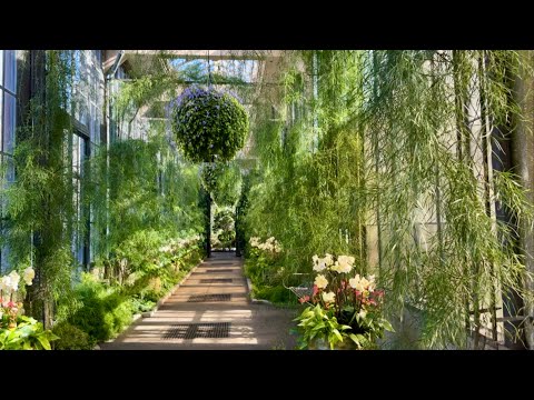 Longwood Gardens Conservatory Tour! Walk Through the Largest Glass House in Pennsylvania!