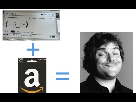 Wireless Hacking Fun with Pwnagotchi