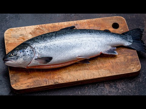 Ein einfaches Lachsrezept, das genauso lecker schmeckt wie im Restaurant!