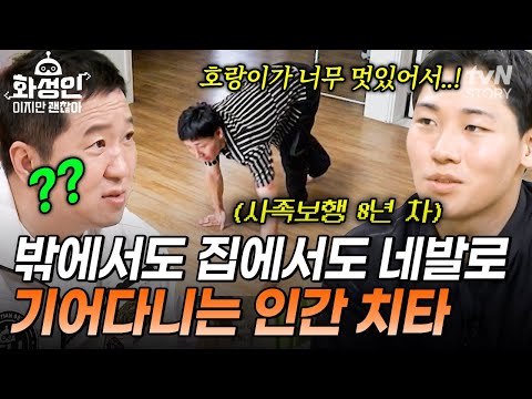 호랑이를 사랑해 동물이 되어버린 남자❓ 두 눈으로 보고도 혼란스러운 사족보행 화성인의 등장💦 #화성인이지만괜찮아