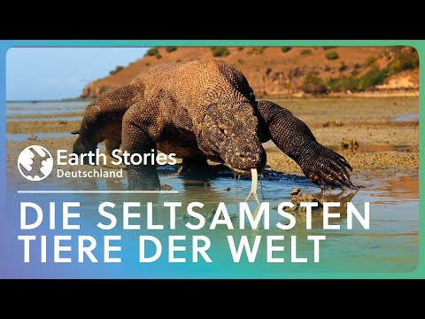 Wallacea | Die seltsamsten Tiere der Welt