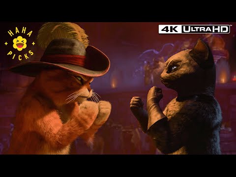 When Puss Meets His Match | Puss in Boots