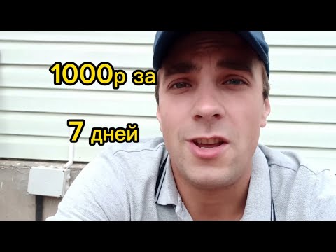 Сколько можно заработать / на Аренде Орша / Яндекс Такси