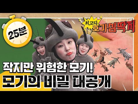 🦟왱왱~ 모기 탐구! 모기가 병도 옮긴다?!｜#말라리아모기 조심해!｜💡최고다! 호기심 딱지💡｜[EBS놀이터]
