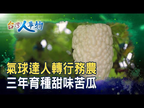 “甜味苦瓜”創白金商機｜宏展農場｜【台灣人事物】2025.10.04