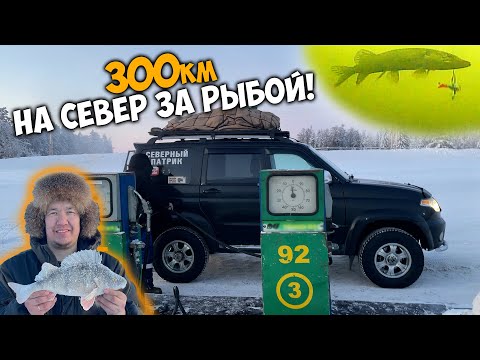 300км на УАЗе патриот за рыбой на СЕВЕР!