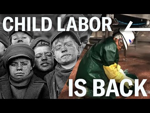 We Uncovered the Corporations Bringing Back Child Labor in America
