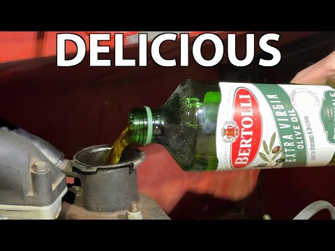 I replaced my engine oil with olive oil.