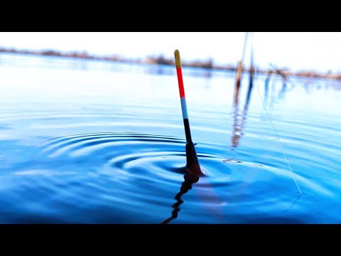 КРУПНЫЙ КАРАСЬ на ПОПЛАВОК!!! Не ожидал от этой рыбалки такого результата!!! Весна 2024!!!