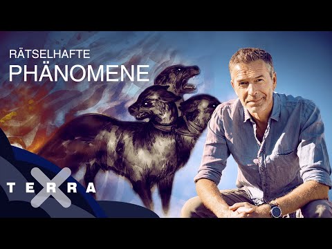 Sternengold und der Hauch des Todes | Ganze Folge Terra X mit Dirk Steffens
