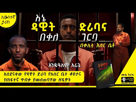 ትረካ - ዳዊት ድሪባ እና ያልተሰማው ታሪክ | 3000 ለሊቶች  | አንዱአለም አራጌ  | #tireka #ትረካ #ethiopia  #amharicbooks #ታሪክ