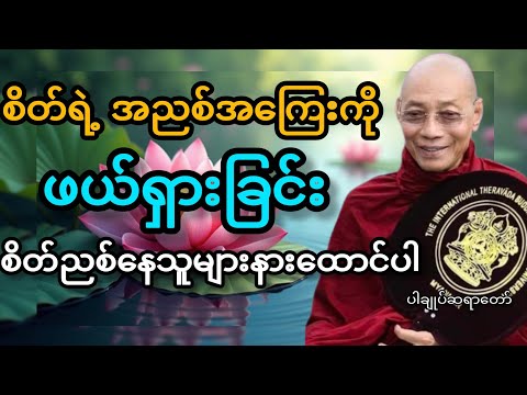 စိတ်ရဲ့အညစ်အကြေးကို ဖယ်ရှားခြင်း #BuddhistNotes #Buddhistnotes #ပါချုပ်ဆရာတော် 
