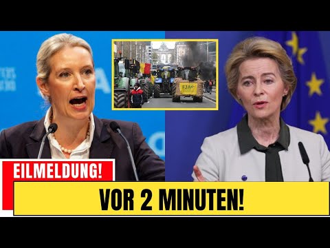 Von der Leyen flieht: Bauern stürmen EU-Parlament in Brüssel