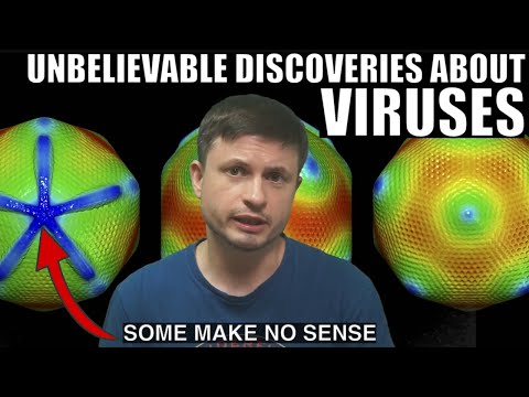 Mind-blowing Discoveries About Viruses and Their Relationship With Us
