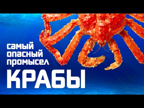 Крабы. Самый опасный промысел
