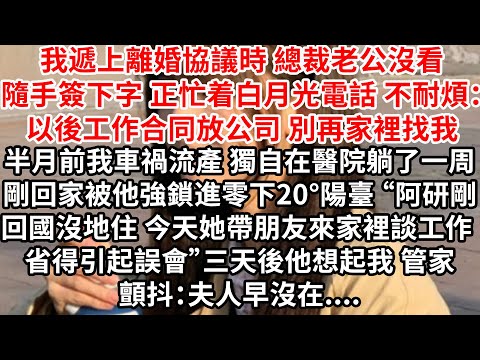 我遞上離婚協議時，總裁老公沒看一揮就簽下字 正忙着白月光電話聊天，車禍流產 我獨自在醫院躺了一周，剛回家被他強鎖進零下20°陽臺“阿研帶朋友回家談工作 省得引起誤會”三天後他想起我