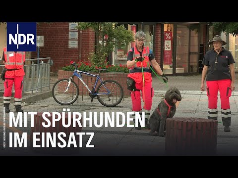 Using sniffer dogs | The North Report | NDR Documentary