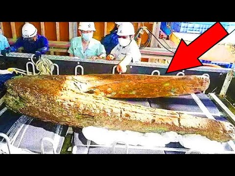 25 Most Amazing Ancient Artifacts Finds