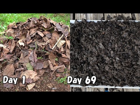 How to make leaf mold in just about 2 months
