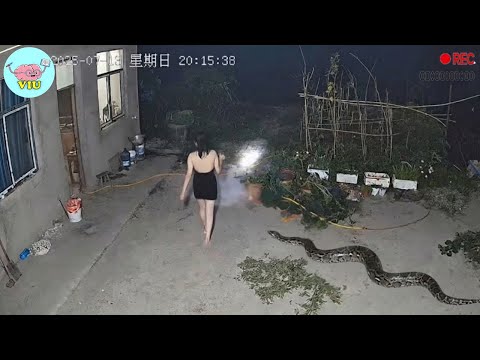SECURITY CAMERA Captures Something No One Should Ever See 😱 | 100 Unusual Moments Caught on CCTV