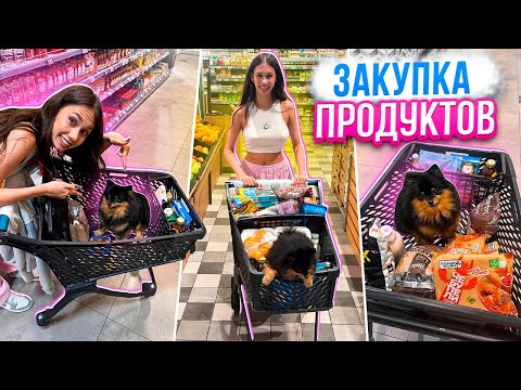 ЗАКУПКА ПРОДУКТОВ НОЧЬЮ 👉 Эля в ШОКЕ 🙈😂