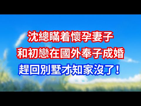 沈總瞞着懷孕妻子，和初戀在國外奉子成婚，趕回別墅才知家沒了！ #甜寵文#愛情#爽文#故事分享