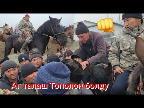АТ. ТАЛАШ ТОПОЛОҢ МУШ  менен  Кызыды 🤣🤣🤣