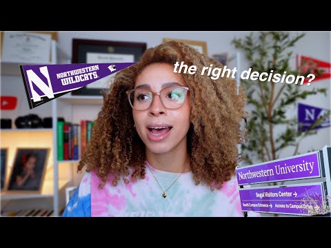 LIFE AFTER QUITTING MY PHD PROGRAM: PROS, CONS & INSIGHTS 💭