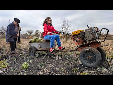 Village Harvest | Countryside Cooking | Slow Living Village Life
