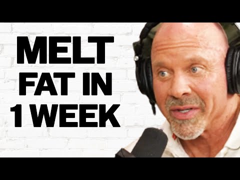 How To Lose STUBBORN FAT In 1 Week & Build Muscle: 3 Simple Steps | Stan Efferding