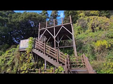 엄마의 아들사랑 (제주도 화천사 법성스님합장)