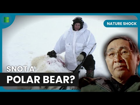 Hunter Shoots Mystery Bear That Stunned Scientists