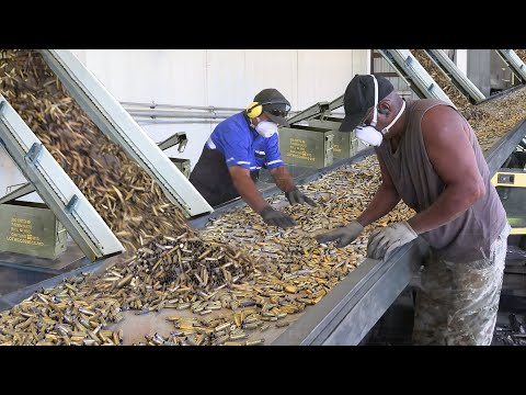 Inside Massive US Restricted Factory Recycling Millions of Used Cartridges