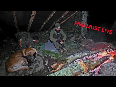 If the Fire Went Out, I Would Freeze | Silent Forest Camp with My Dog