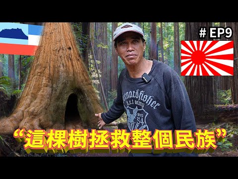 🇲🇾vs🇯🇵 This Tree Saved an Entire Village??