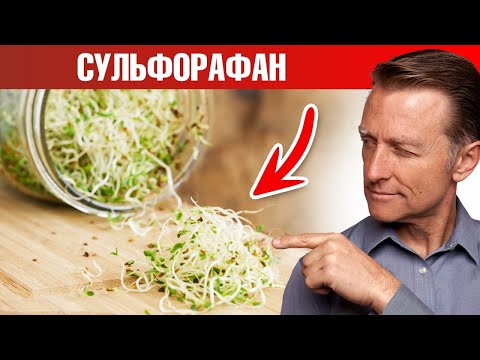 Вот поэтому микрозелень и проростки нужно есть каждому🙌