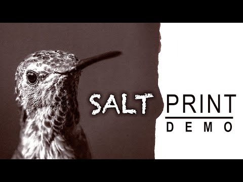 What is salt printing? A demonstration of 19th century photography modernized