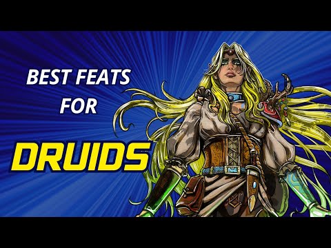 Best Feats for Druids in D&D 5e